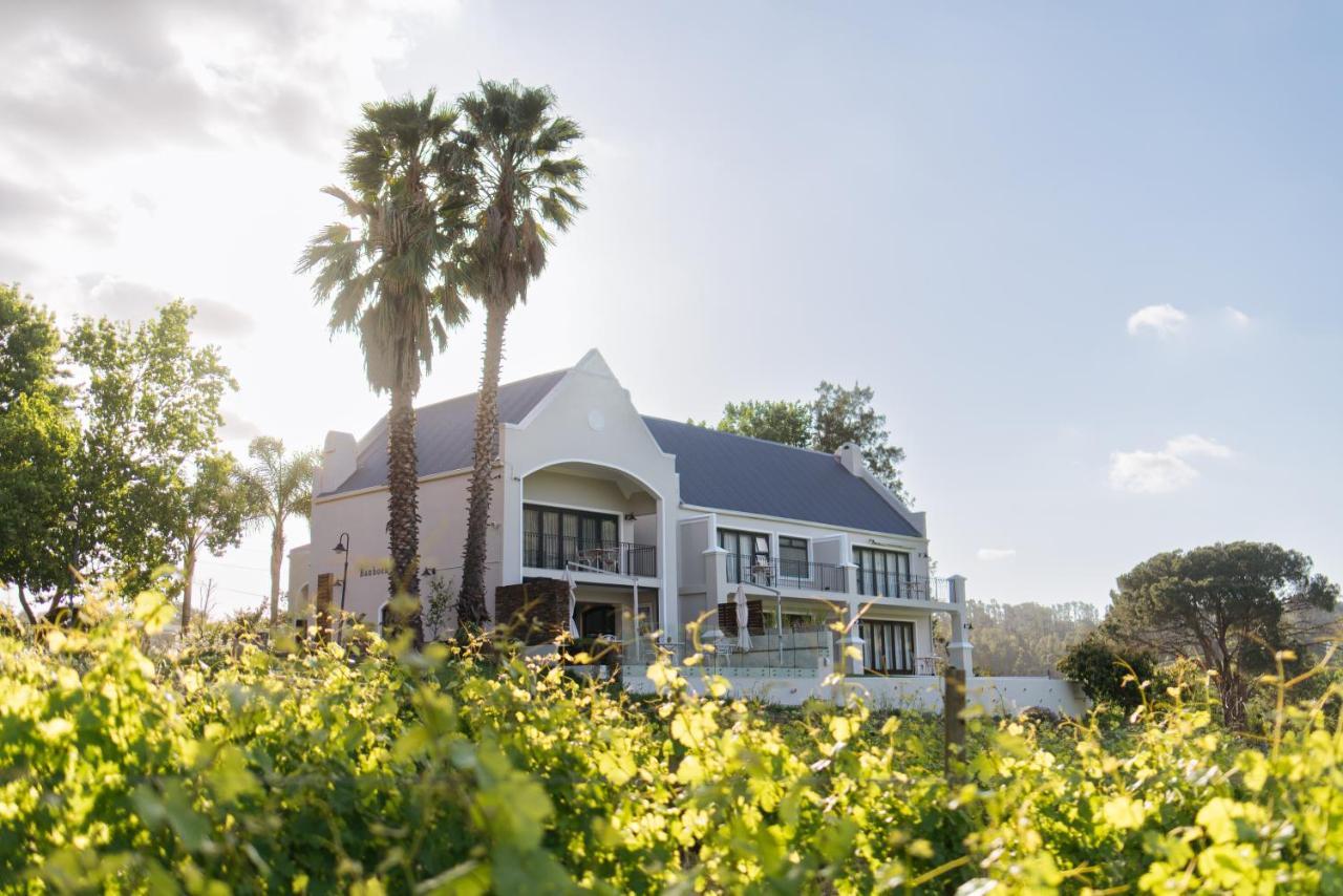 סטלנבוש Banhoek Lodge מראה חיצוני תמונה